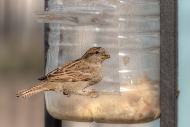 A Space-Saving Solution Swap Your Skip for Rubbish Removal Bags Today